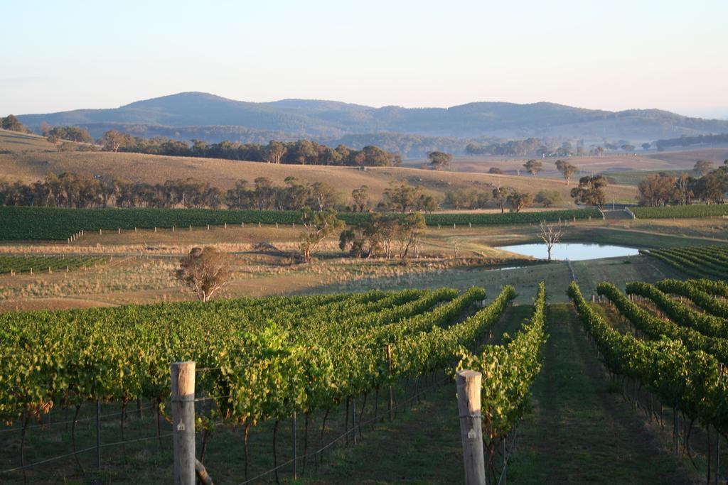 Mayfield Vineyard Orange Extérieur photo