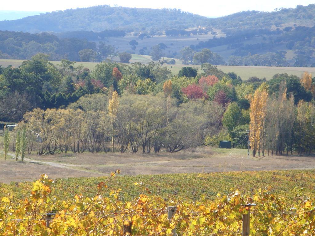 Mayfield Vineyard Orange Extérieur photo