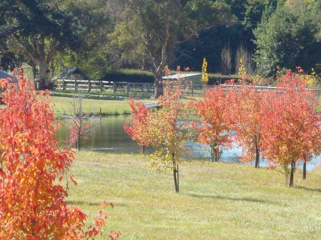 Mayfield Vineyard Orange Extérieur photo