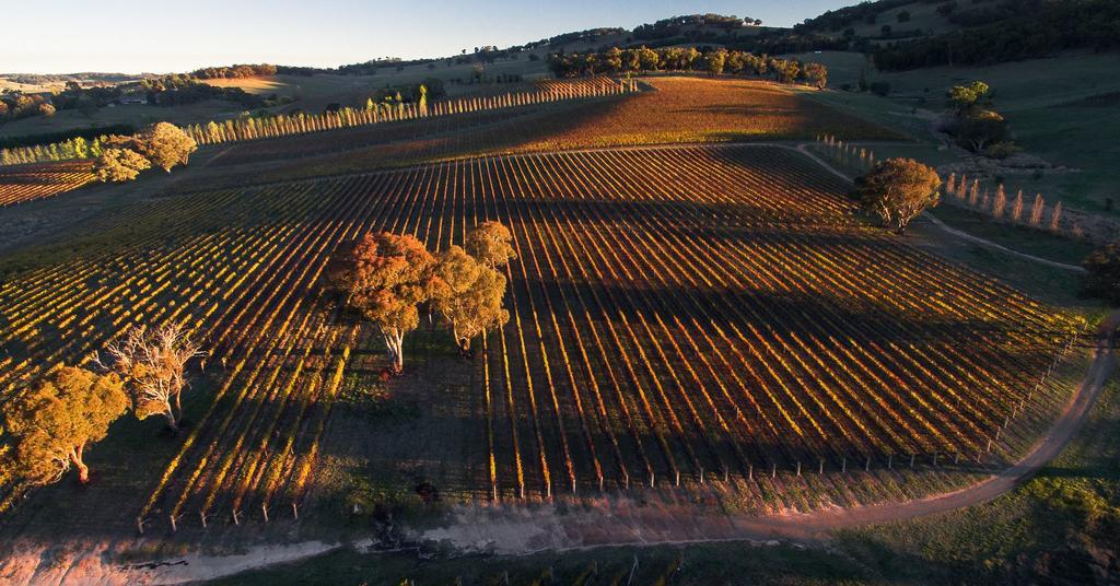 Mayfield Vineyard Orange Extérieur photo